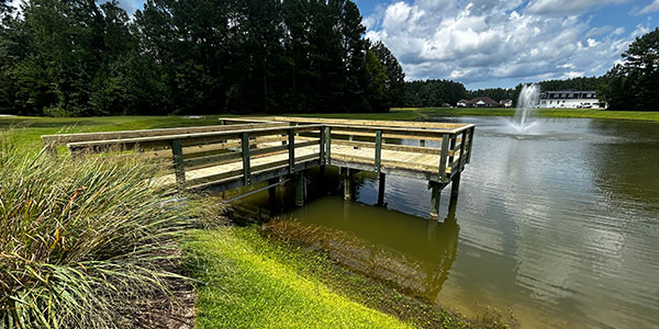 Elevated Dock