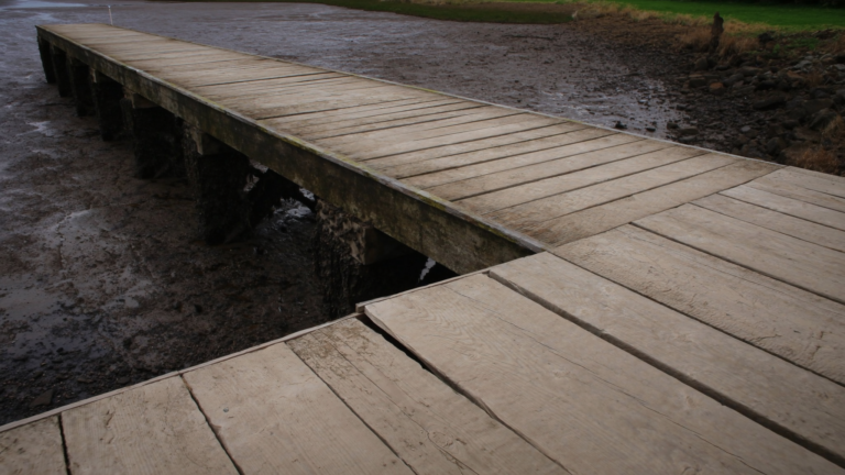 Weathered Charleston dock at low tide showing aged deck boards and barnacled pilings