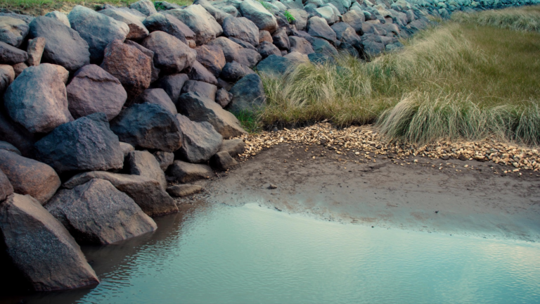 Granite riprap meeting an oyster shell and spartina living shoreline on a Lowcountry marsh edge