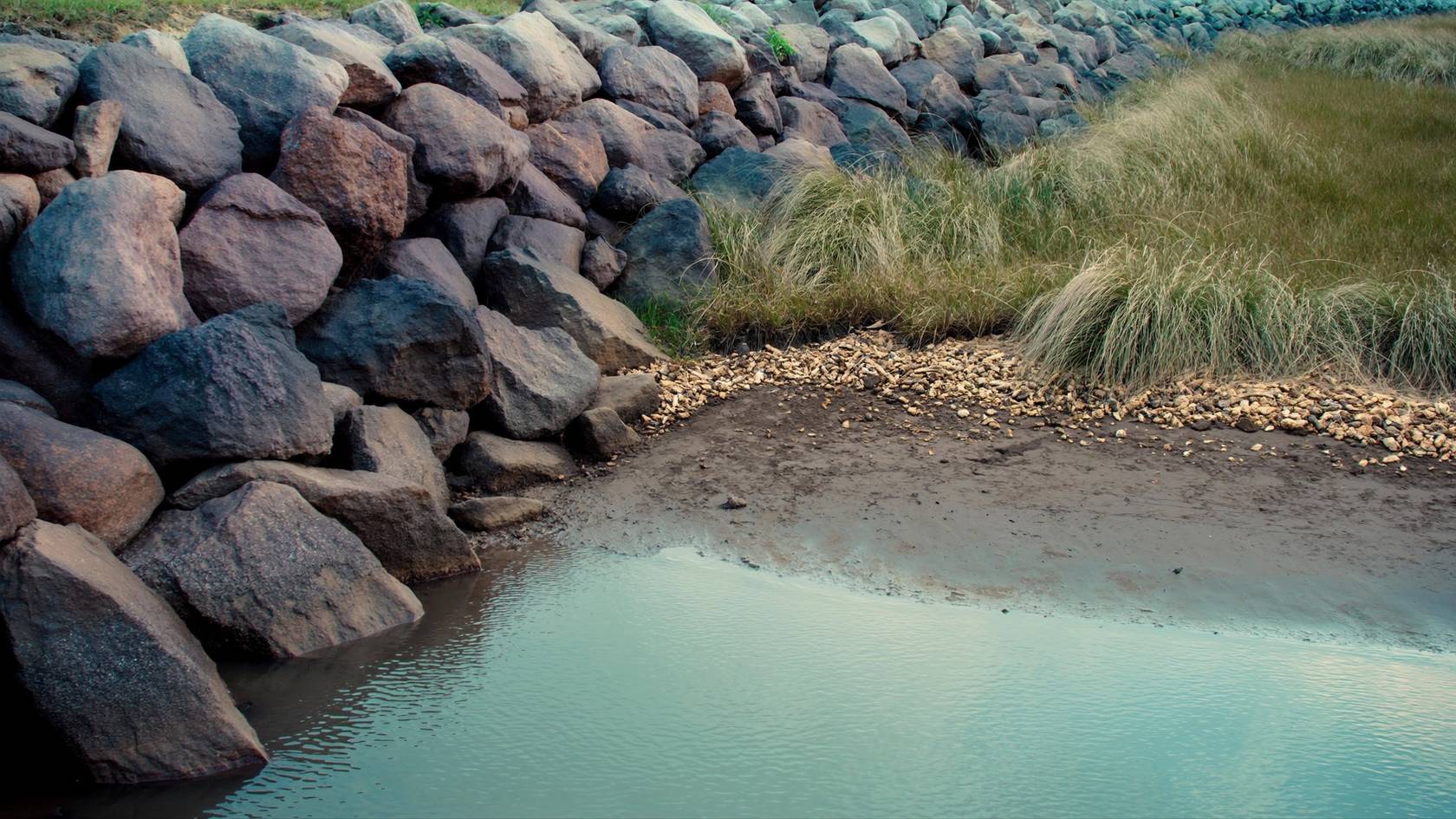 Granite riprap meeting an oyster shell and spartina marsh edge